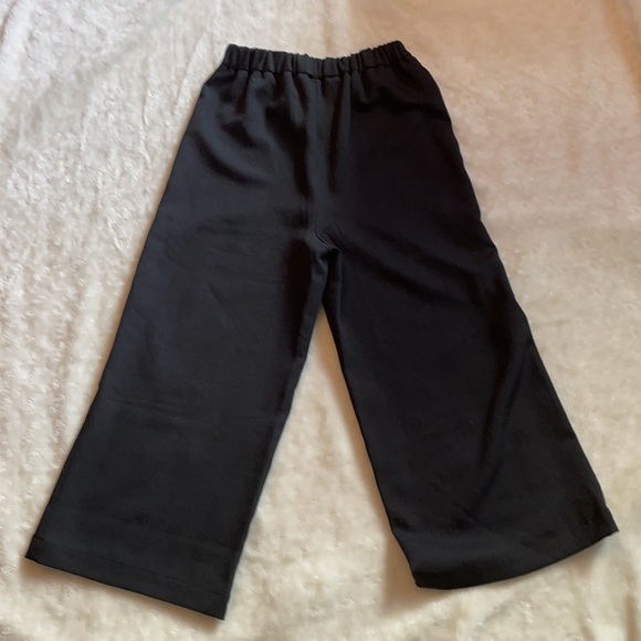 Wilfred Pants - NWT Women’s Wilfred cropped wide leg pants